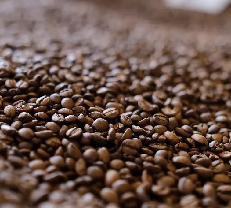 Copenhagen Coffee Lab
